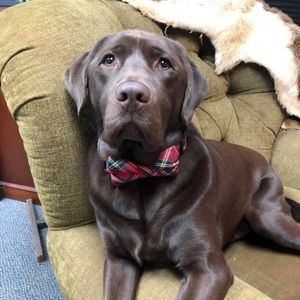 Meet your Posher, Scott